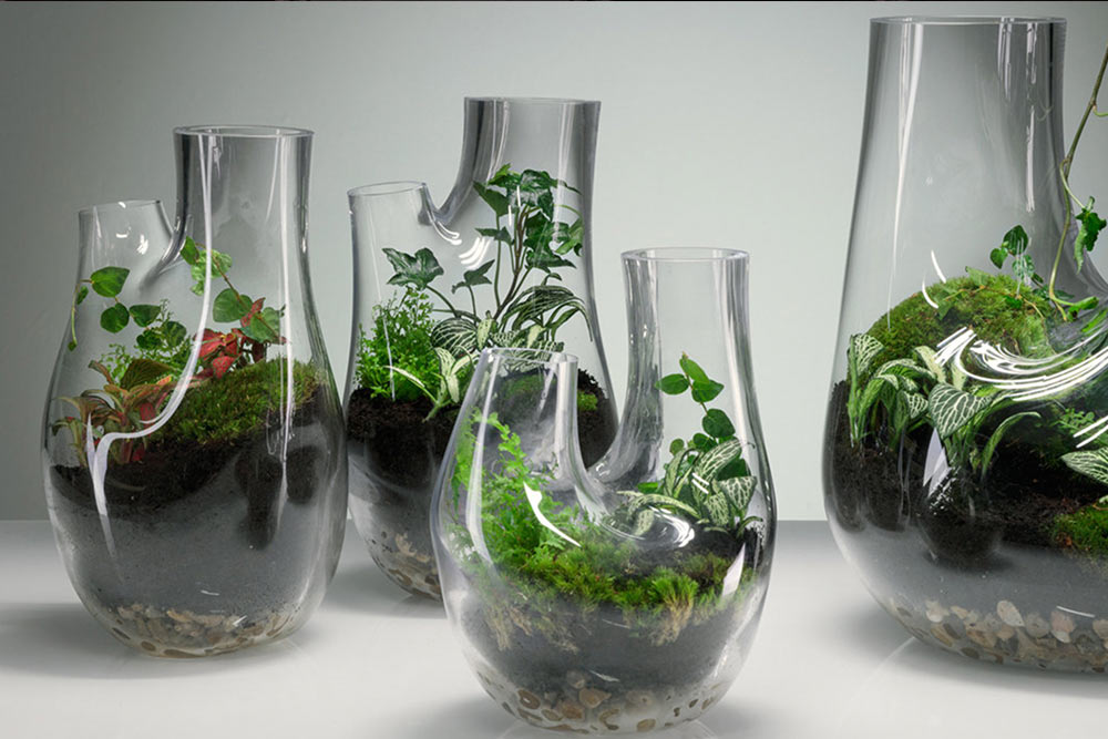 Tom Dixon Terrarium – Entwerfe Dein eigenes Terrarium