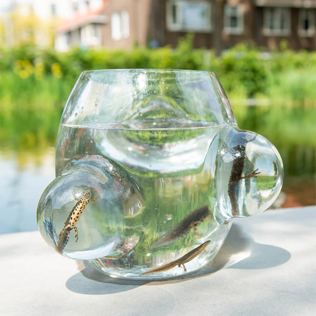 Weltevree – Local Habitat Glas-Vase mit Lupen-Effekt für Insekten und Pflanzen