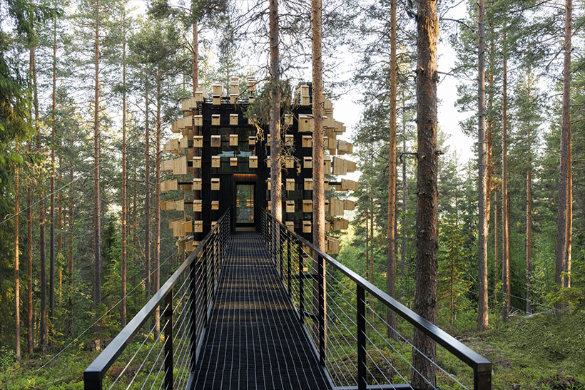 Biosphere Treehouse in Harads Schweden von BIG Bjarke Ingels Group. Umgeben von 350 Vogelhäusern