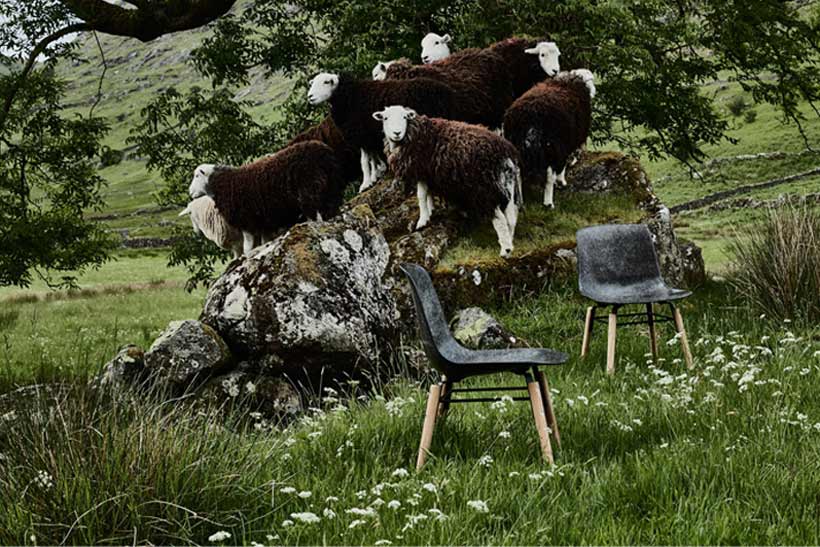 Solidwool verwertet britische Schafwolle für nachhaltige Möbel