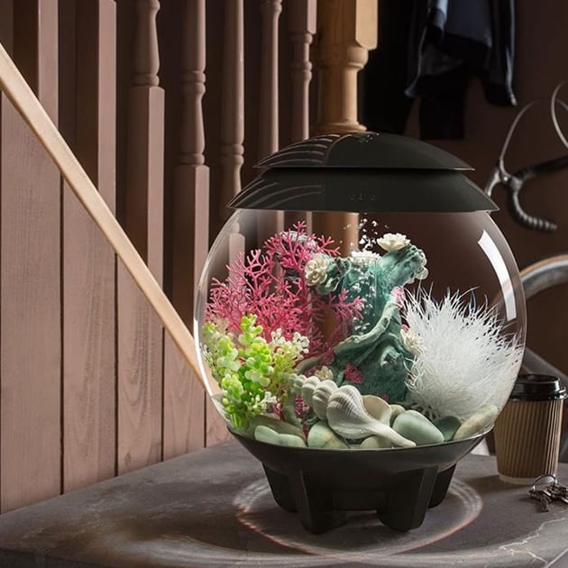 Das automatische biOrb Air Terrarium von Oase