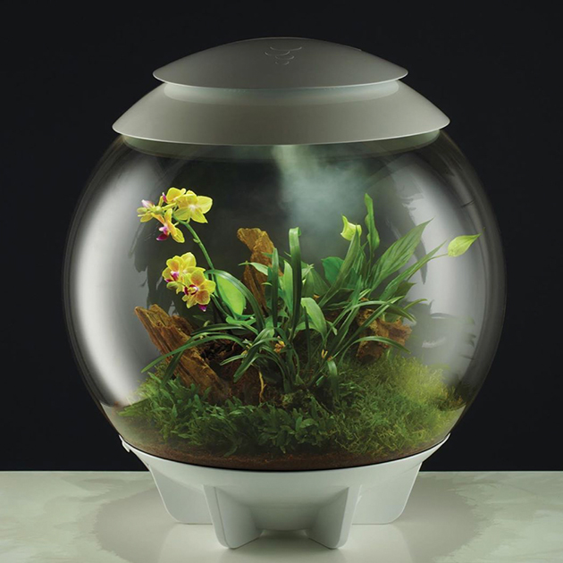 Das automatische biOrb Air Terrarium von Oase