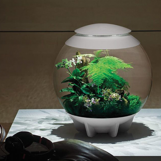 Das automatische biOrb Air Terrarium von Oase