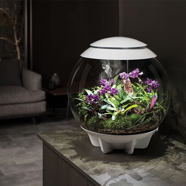 Das automatische biOrb Air Terrarium von Oase