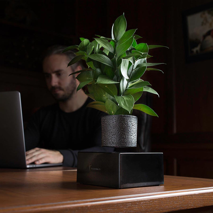 Levitating Plant – die schwebende Vase für Deine Pflanzen