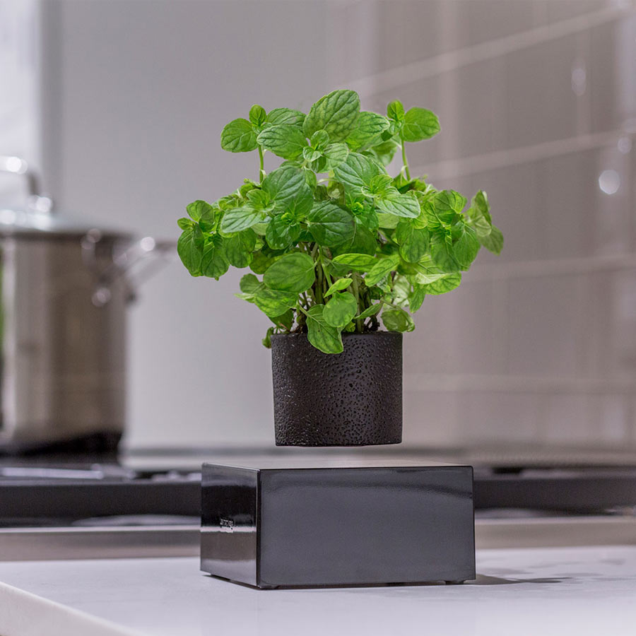 Levitating Plant – die schwebende Vase für Deine Pflanzen